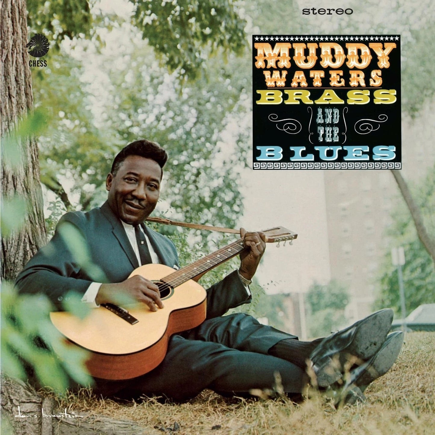 UMGD-199957490160 - Muddy Waters - Muddy Brass and the Blues (Chess Acoustic Sounds Series)