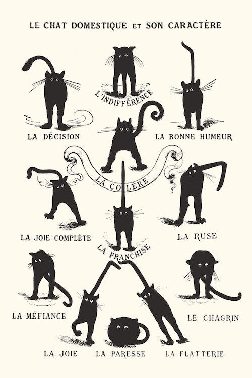 Le Chat Domestique Et Son Caractere Poster-Helix Sounds