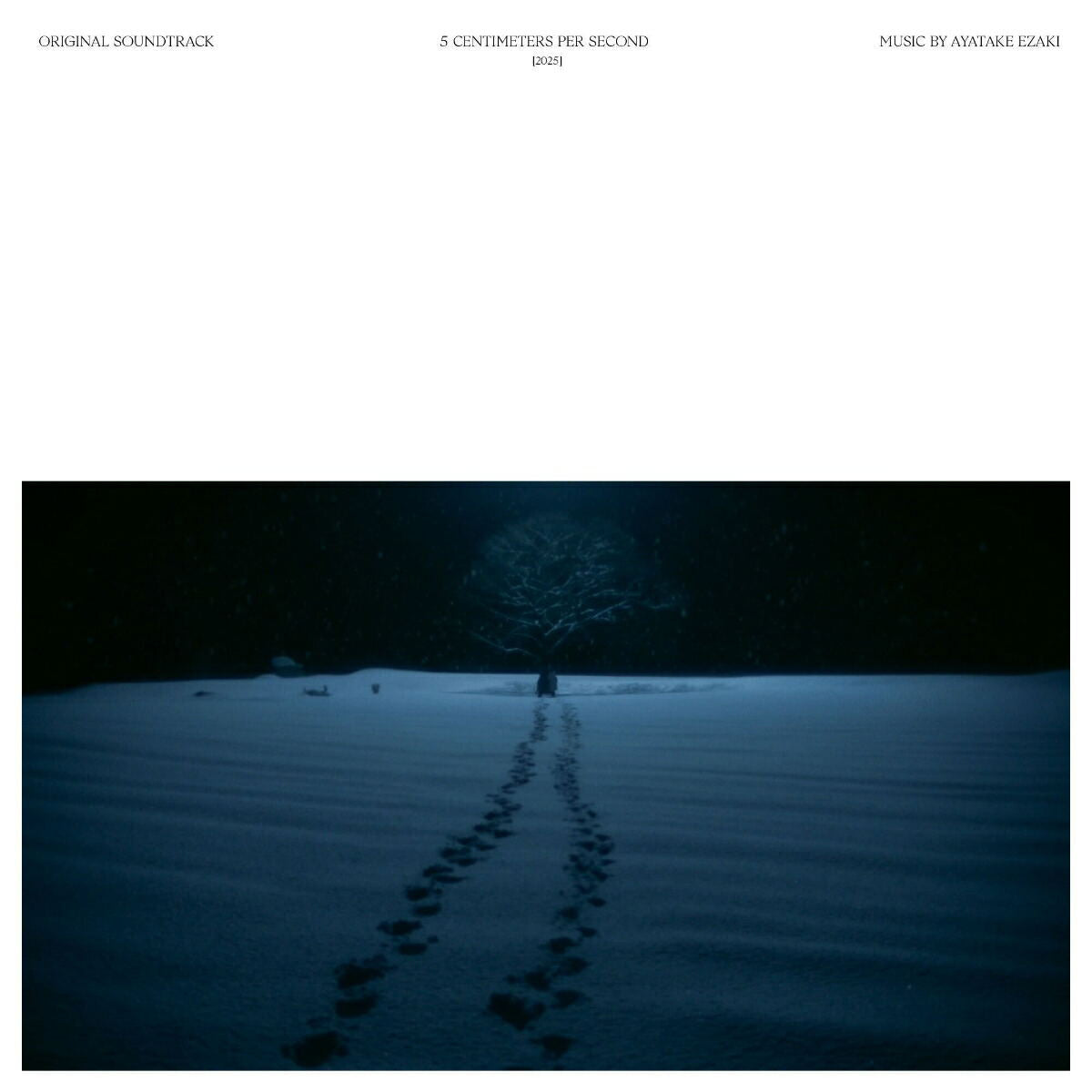 VIJL-60376 - Ayatake Ezaki - 5 Centimeters Per Second Live-Action Movie Original Soundtrack