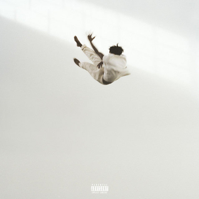 ST0006R - Daniel Caesar - Pilgrim’s Paradise