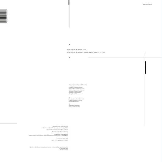 In The Light Of The Miracle (Remixes)-Arthur Russell Vinyl-Helix Sounds