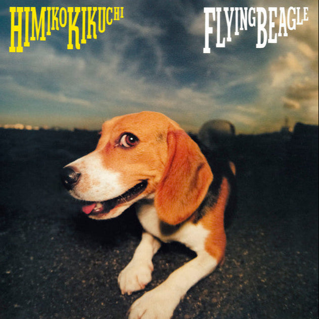 DQJL-2203 - Himiko Kikuchi - Flying Beagle