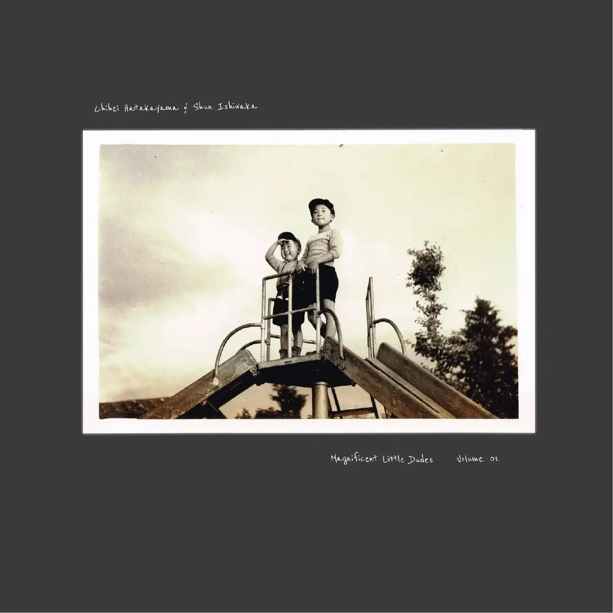 Magnificent Little Dudes Vol. 1 Vinyl-Helix Sounds