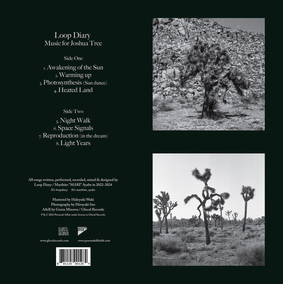 Music for Joshua Tree-Loop Diary on Black Vinyl-Helix Sounds