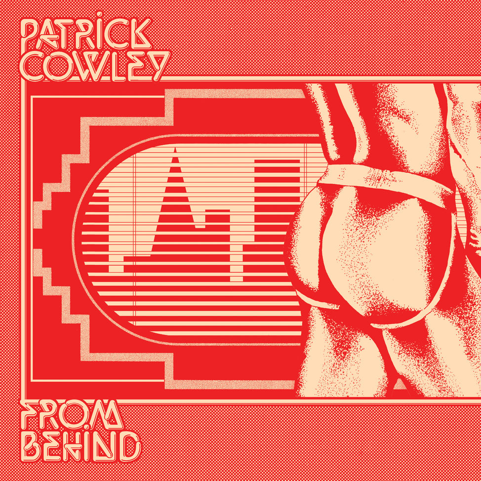 From Behind-Patrick Cowley on Black Vinyl-Helix Sounds