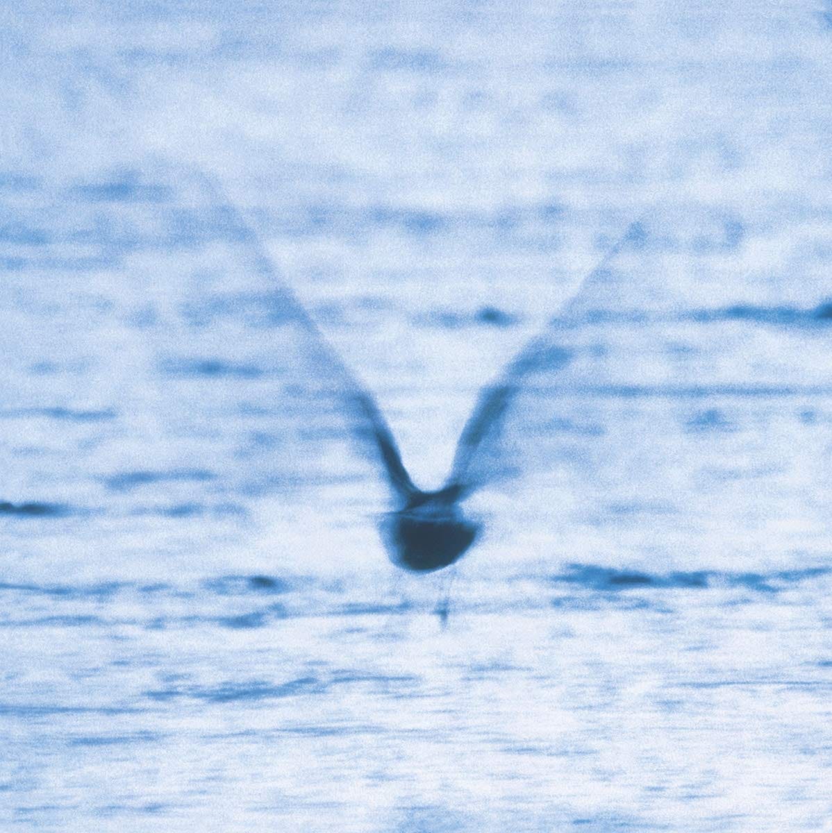 Mellow Dream by Ryo Fukui Vinyl-Helix Sounds