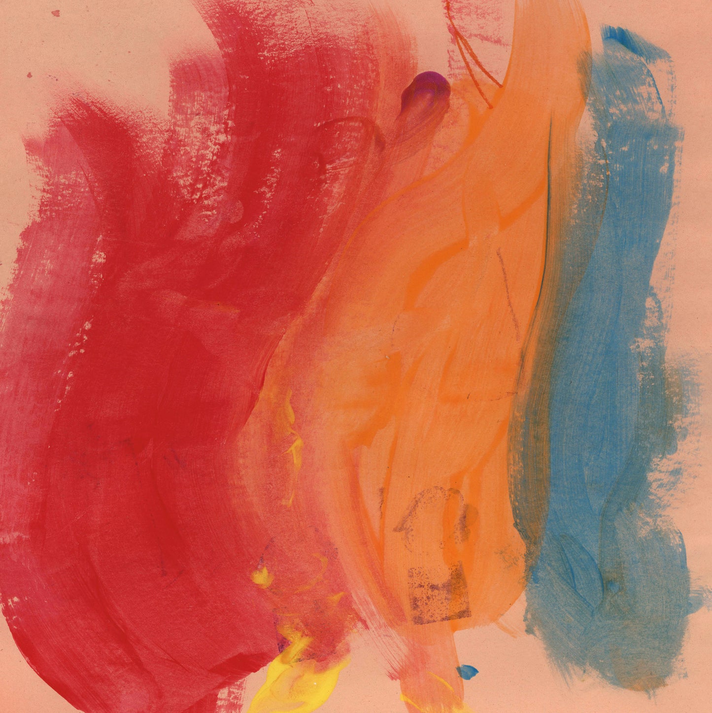 Y21 - Joel Andrews - Paradise Bird