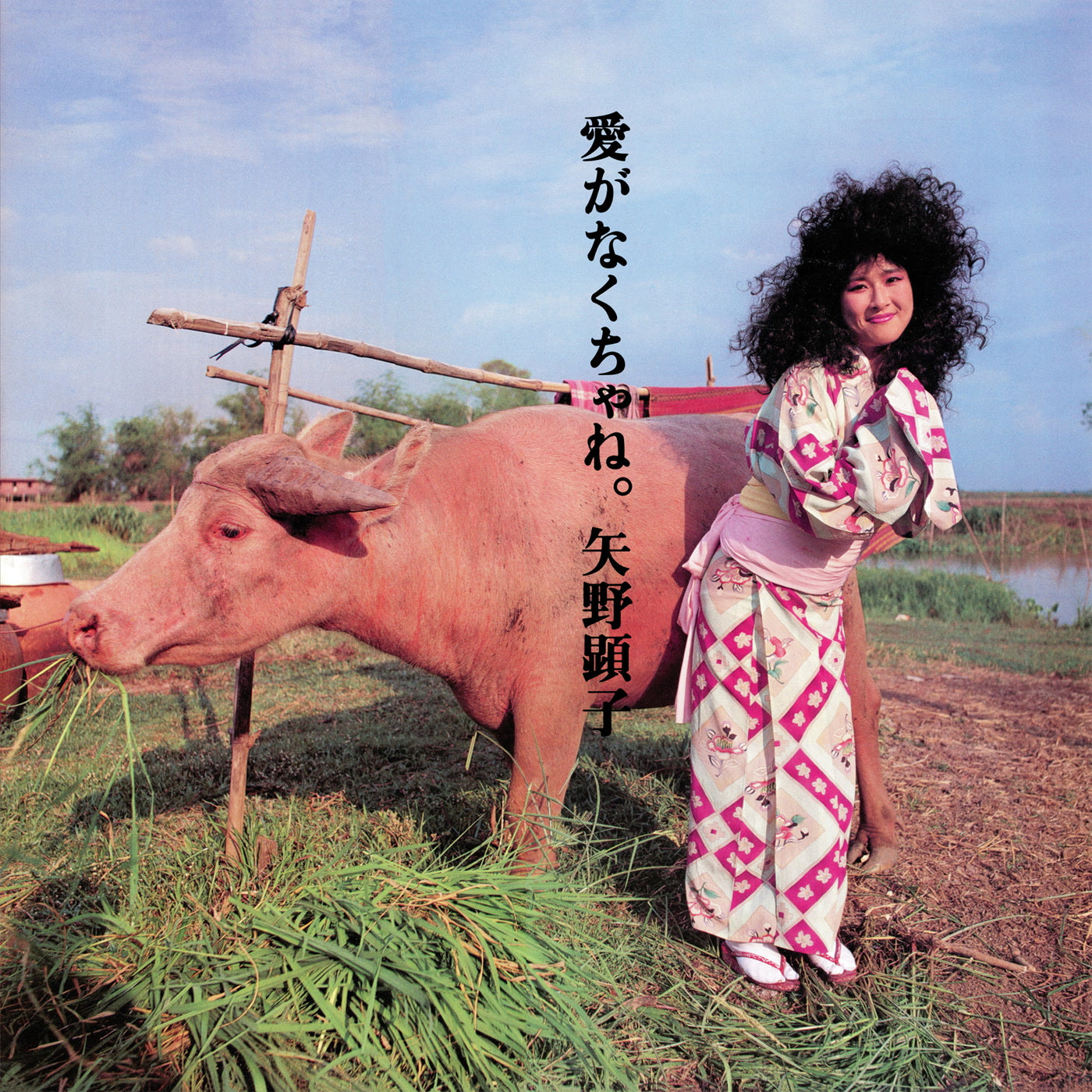 Ai Ga Nakucha Ne-Akiko Yano on Black Vinyl-Helix Sounds