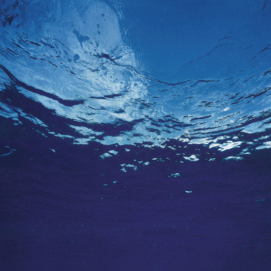 GLOSSY007 - Akira Ito - Marine Flowers