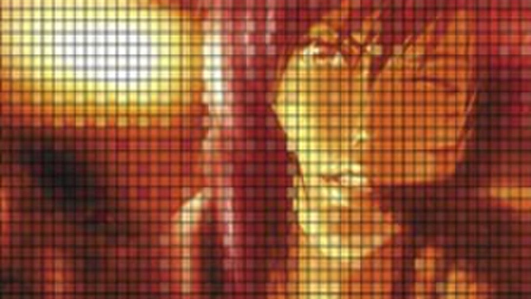 Ghost in the Shell Collection