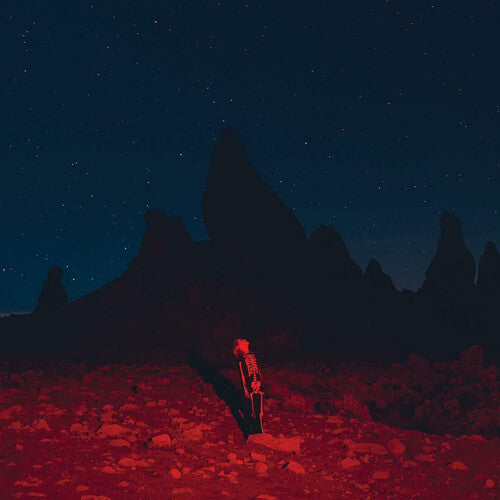 DOC200 - Phoebe Bridgers - Punisher