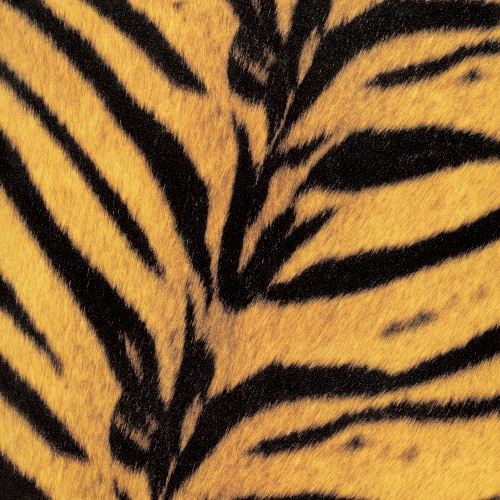 UPJY-9547 - The High-Lows - Tigermobile