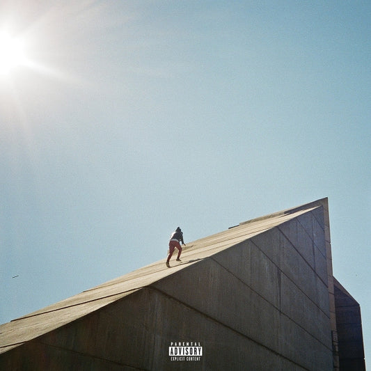 Daniel Caesar (12" x 12") [Poster]-Helix Sounds