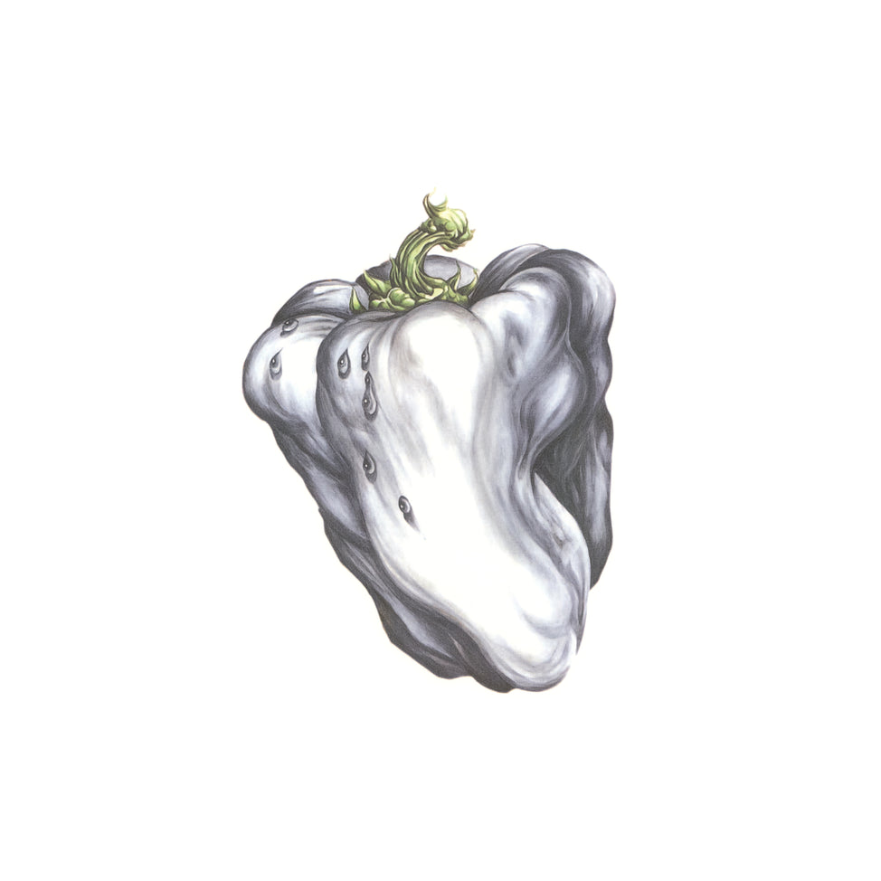RHINO-603497807192 - Ween - White Pepper