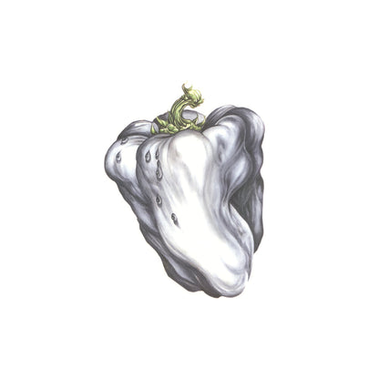 RHINO-603497807192 - Ween - White Pepper