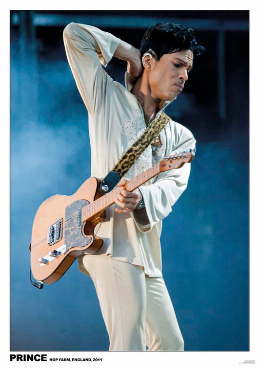 PRINCE - Live On Stage 2011 Poster-Helix Sounds