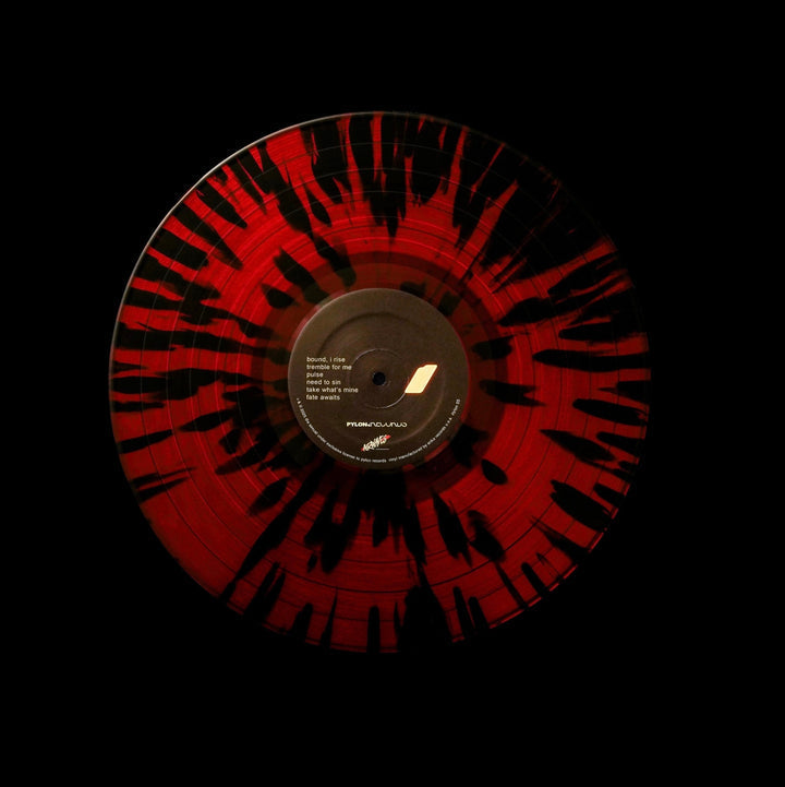 Elektro Body Musique