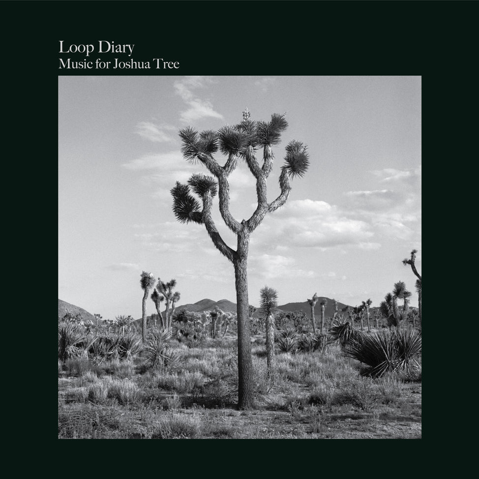 Music for Joshua Tree-Loop Diary on Black Vinyl-Helix Sounds
