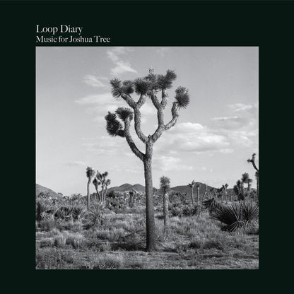 Music for Joshua Tree-Loop Diary on Black Vinyl-Helix Sounds