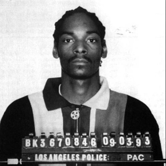 Snoop Dog - Mug Shot (12" x 12") [Poster]-Helix Sounds