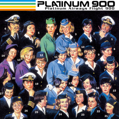 MHJL-237 - PLATINUM 900 - Platinum Airways Flight 900