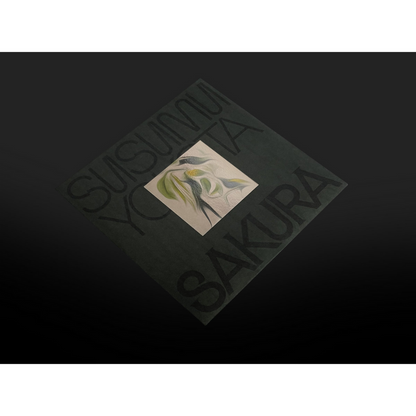 Sakura [Skintone Edition] [Import]