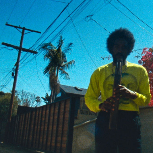ER-198028762212 - Andre 3000 - Moving Day