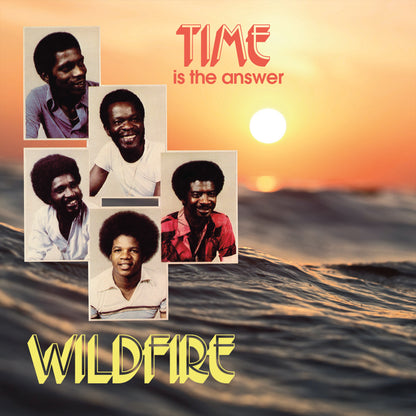 TWM91 - Wildfire - Time Is The Answer