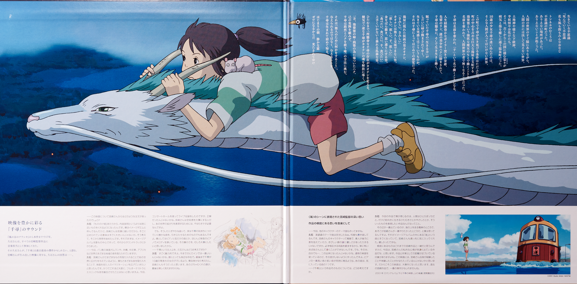 Studio Ghibli Vinyl -  New Zealand